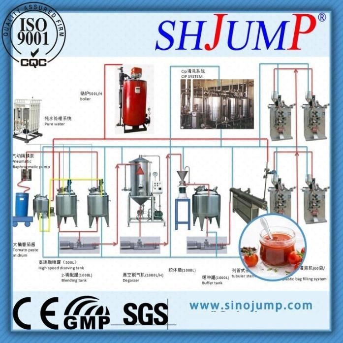Canned Tomato Paste Making Machine -Small Capacity