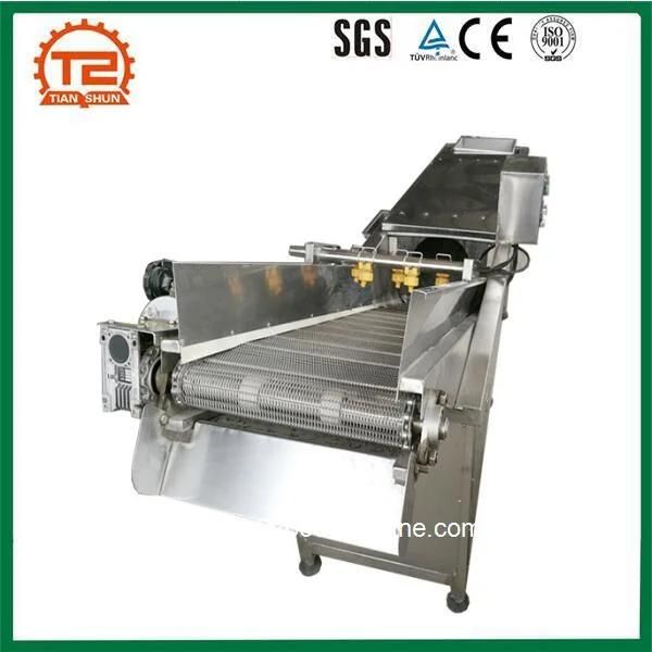 Ozone Bubble Vegetable Cleaning Washer/Salad Washing Machine