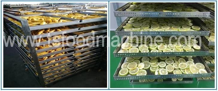 Continuous Conveying Belt Fruit Dryer and Lemon Apple Orange Drying Machine