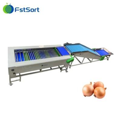 Large Capacity Garlic Onion Vegetable Sorting Grading Machine