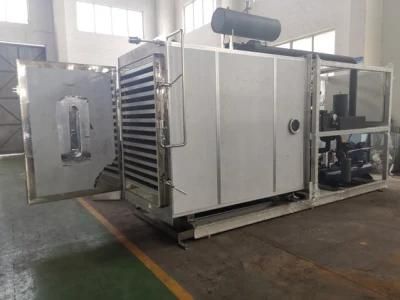 Industrial Vacuum Vegetable Hypothermia Freeze Dryer