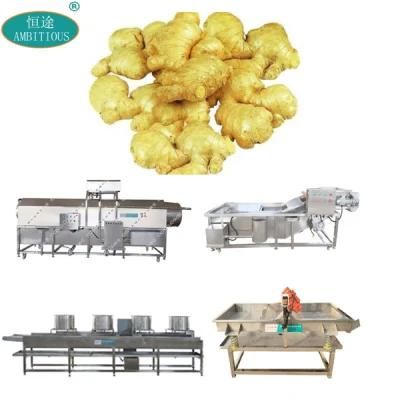 Industrial Ginger Processing Machine Ginger Washing Machine