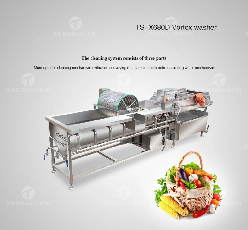 Commercial Fruit and Vegetable Processing Line Food Processor Equipment Fruit Vortex Washer Potato Chip Ginger Industrial Washing Machine Chilli Cleaner