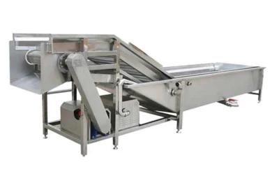 Ce Approved Air Bubble Vegetable Washing Machine
