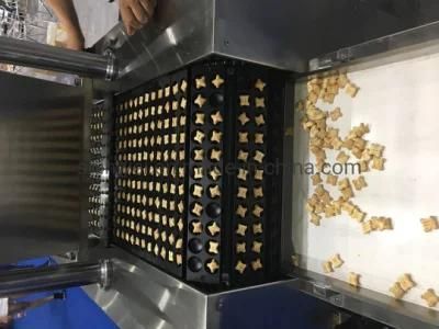 Lovely Bear Carton Printed Biscuit with Centre Filled Full Automatic Production Line