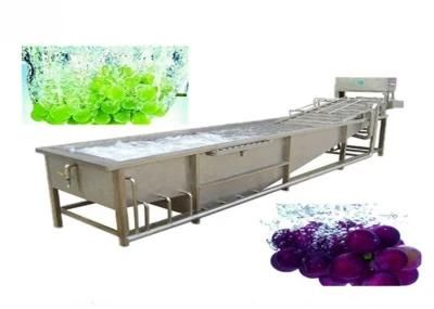 New Condition Vegetable Fruit Washer Cleaning Processing Line