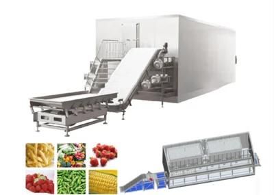 China Manufacturer Vegetable Fruit Frozen Processing Line