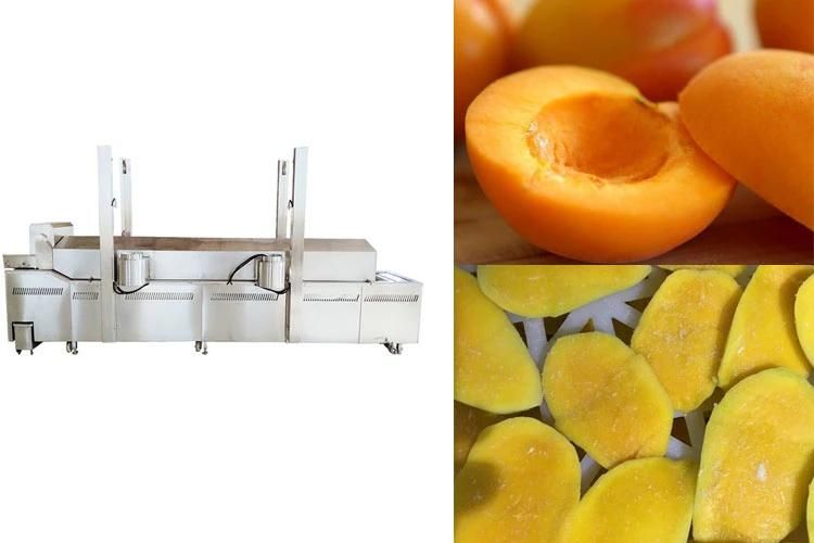 Steam Belt Continuous Blancher Machinery Fruits Blanching Precooking Machine