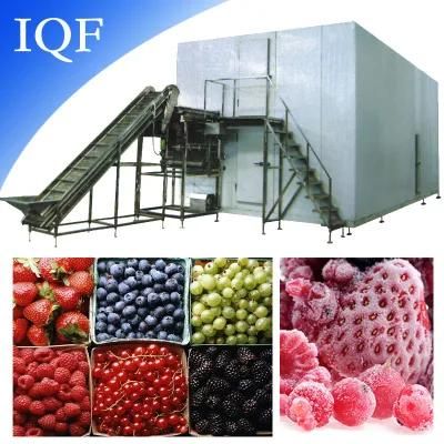 1t IQF Fluidized Quick Freezer Machine for Spinach