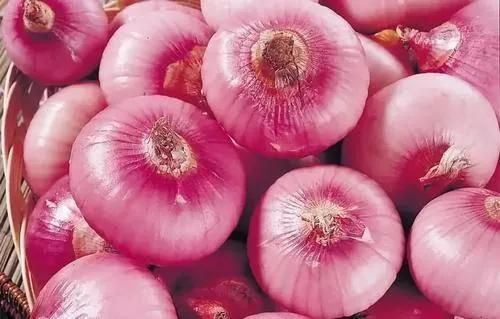 2019 Newest Design Onion Powder Plant