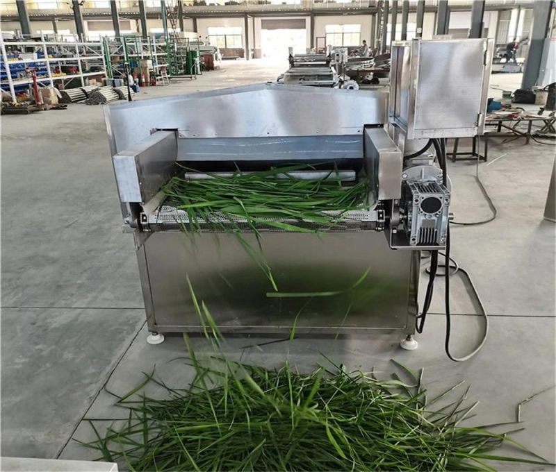 Industrial Automatic Spinach Blanching Machine/ Yam Blancher/ Cress Blanching