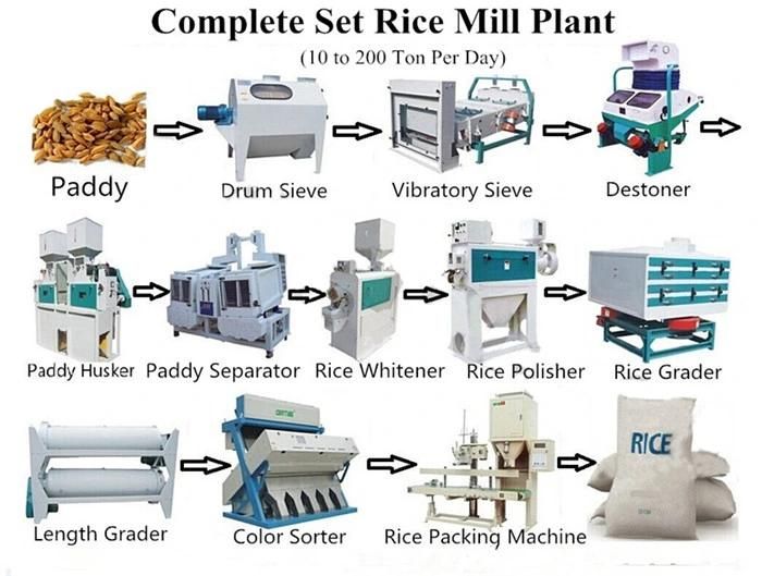 10 Tons Per Hour Large Capacity High Efficiency Parboiled Rice Mill