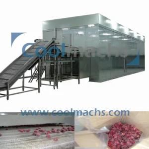 Durian Quick Freezing IQF Tunnel Freezers/Fruit and Vegetable Industrial IQF Machine