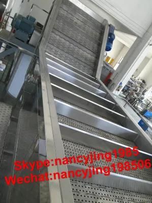Blueberry Puree Processing Production Line