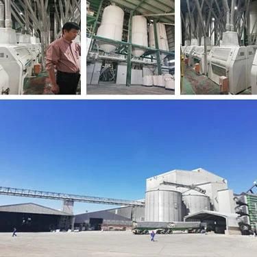 Full Automatic 500t Maize Wheat Flour Mill Machine with European Standards for Africa