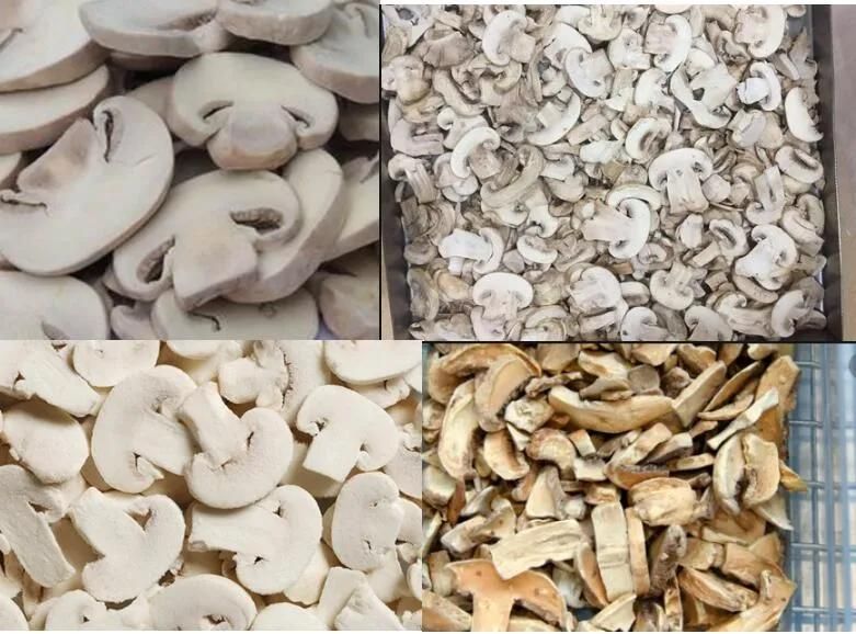 Freeze Drying Machine Mushroom Freeze Dryer