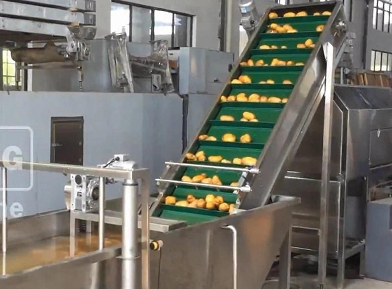 Snack Frozen French Fries Production Line Fresh Potato Chips Fryer Making Frying Food Processing Machine