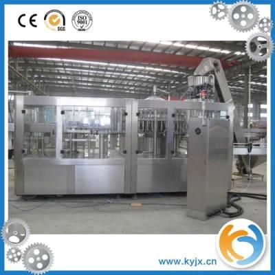 Providing SUS304 Bottled Mineral Water Filling Machine