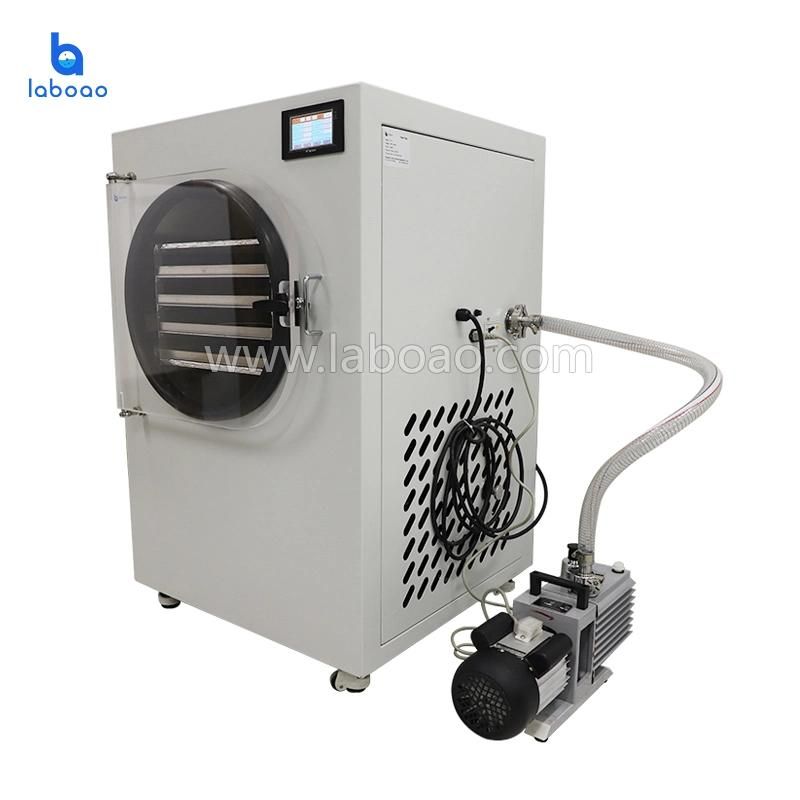 Small Vacuum Freeze Dryer Laboratory Equipment for Freeze Drying Pineapple