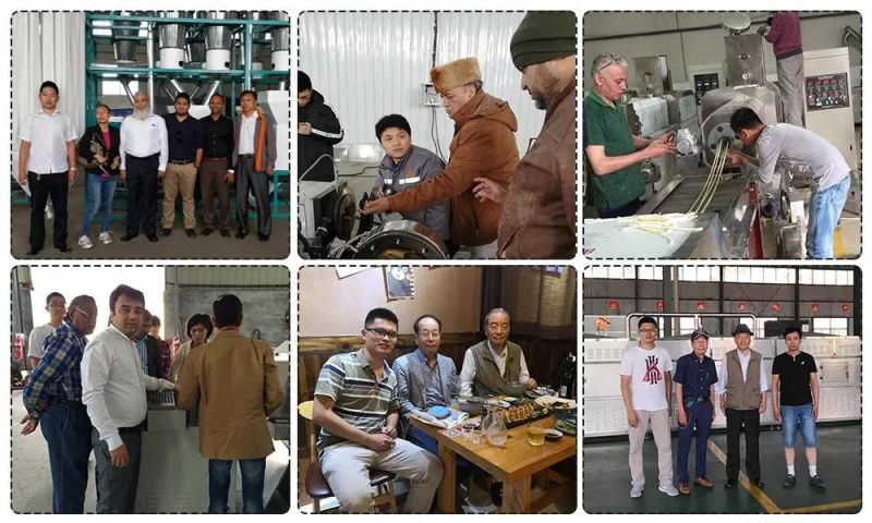 Top Sell of The Equipment for Manufacture of Artificial Rice Jasmine Rice