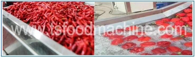 Automatic Vegetable Washing Machine with Pressure Washer for Vegetable Processing