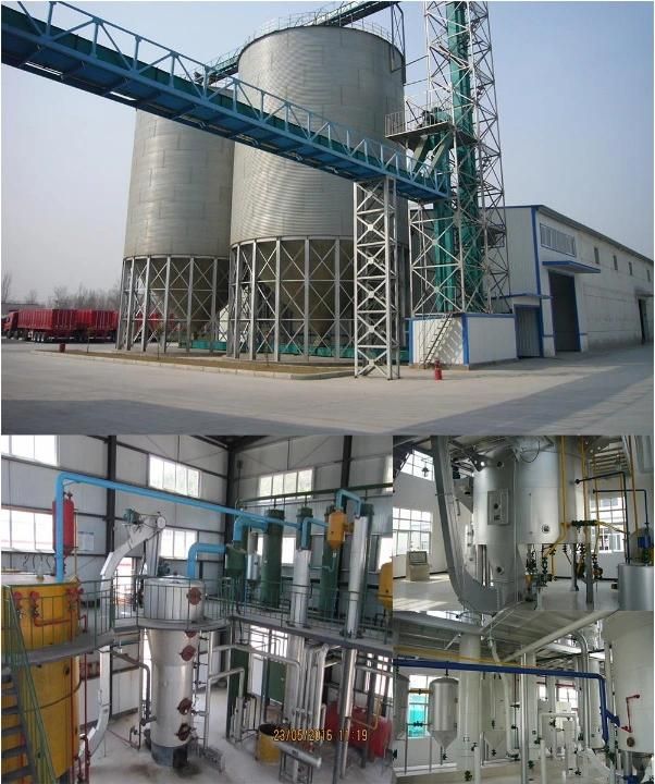 Mini Rice Bran Oil Mill Plant 20-50tpd Solvent Extraction Technology