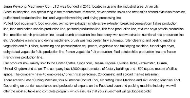 Automatic Dog Food Pet Chews Production Line Making Machine