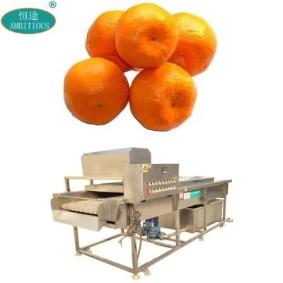 Commercial Citrus Brush Washing Machine Citrus Washer