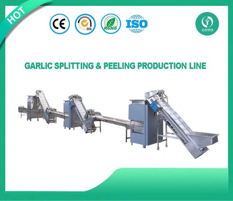 Garlic Peeling Machine