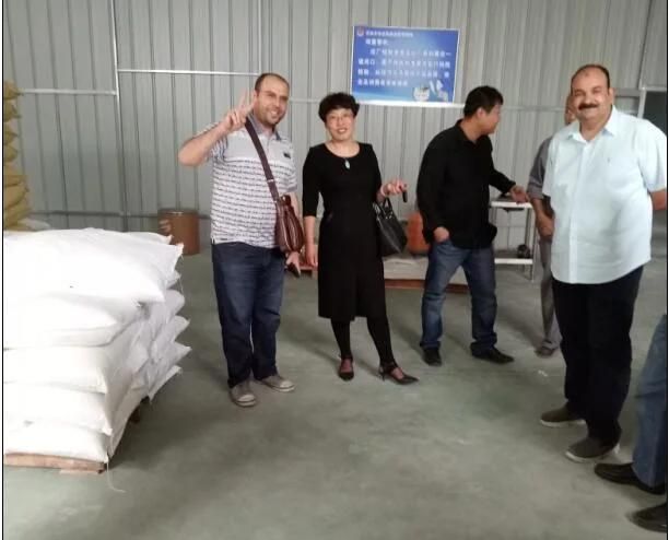 Stainless Steel Corn Flakes Making Machine