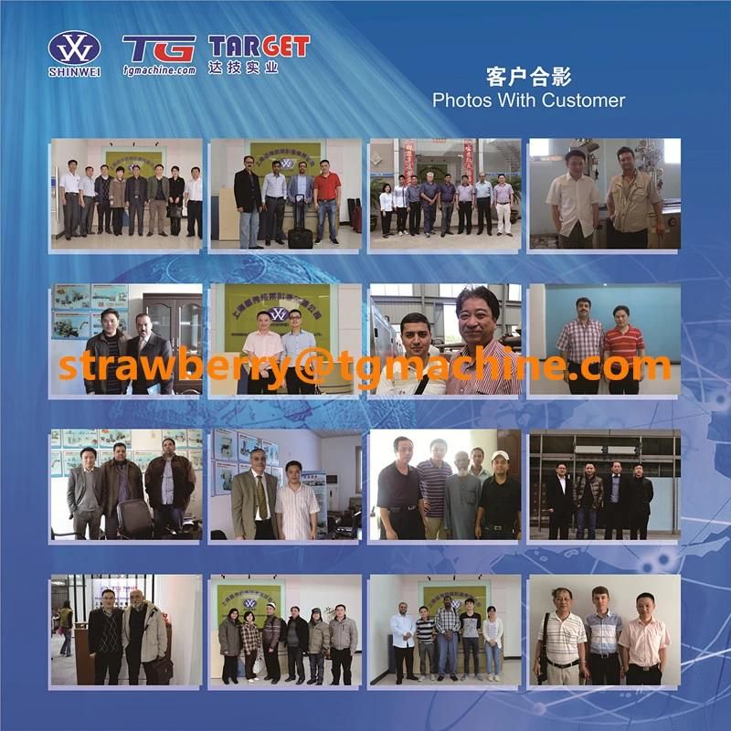 Automatic Central-Filled Soft Milk Candy Machine (T300)