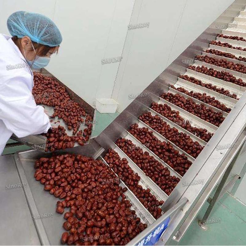 1000kg Red Dates Juice Red Dates Paste Processing Line