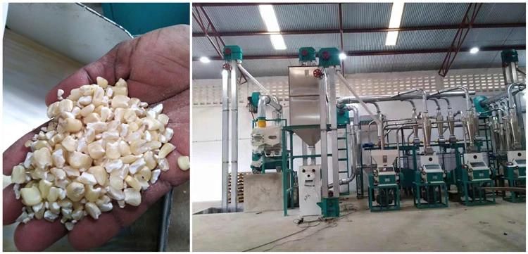 Modern Corn Maize Flour Milling Mill Equipment