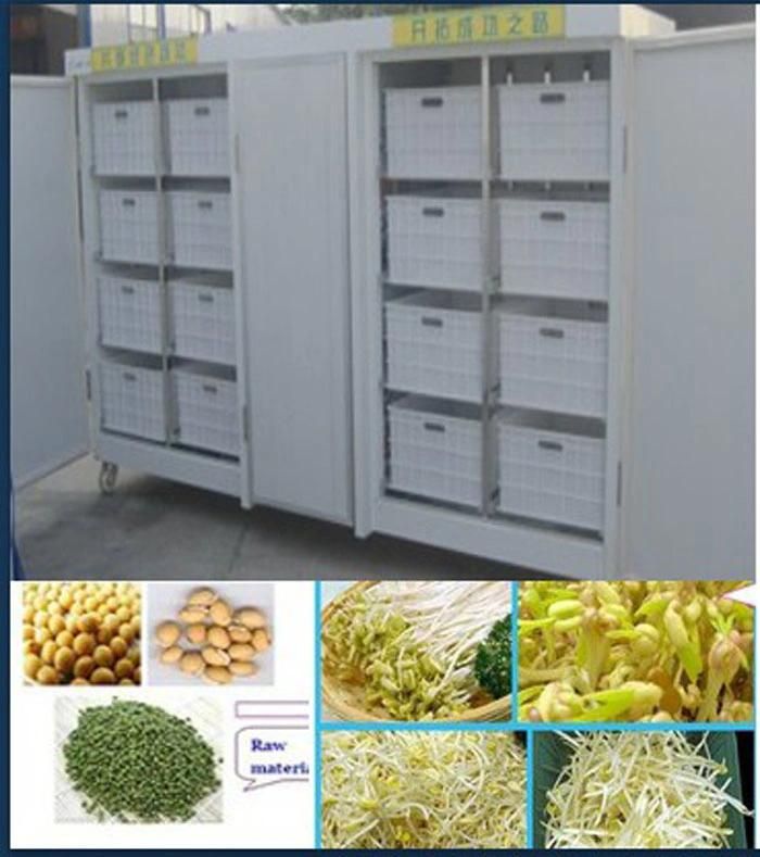 Vegetable Bean Sprout Sprouting Sprouter Growing Planting Processing Machine