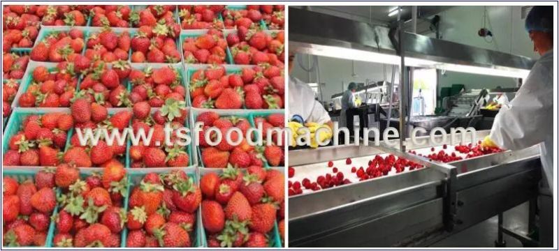 Bagged Drinks and Bagged Fruit Sauce Pasteurization Equipment