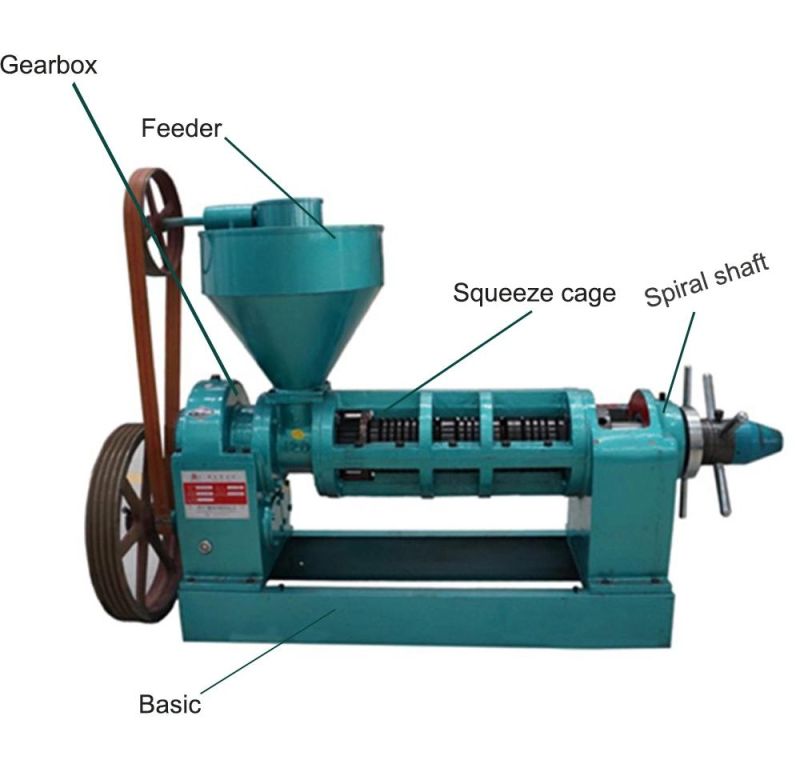 Yzyx120 Single Screw Oil Press for Peanut Sesame Sunflower Rapeseed