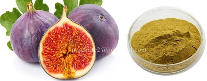 Complete Fig Powder Production Line