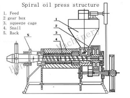 Small Capacity Screw Oil Mill For Oil Seeds