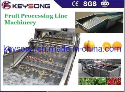 Food Machinery Fruit Processing Line Equipment Grading Machine Washer