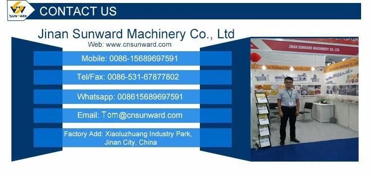 Pet Dog Cat Food Pellet Production Equipment Line Machinery