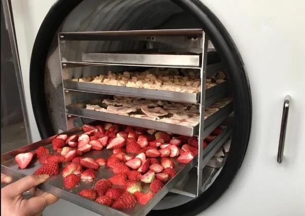 Industrial 10m2 / 50m2 /100m2 Vacuum Fruit Food Freeze Dryer