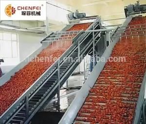 2019 Newest Hot Selling High Quality Fruit Bucket Elevator