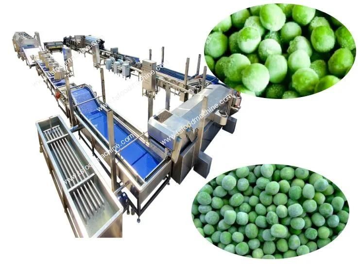 Vegetable Processing Line Frozen Peas Production Line