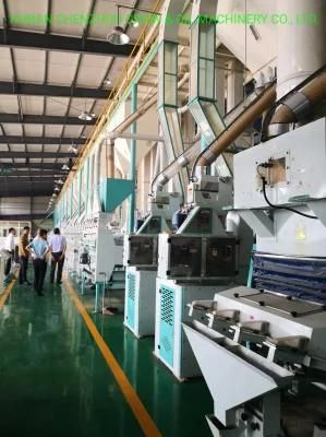 Turnkey Complete Set of Auto Rice Milling Machine 300tpd Auto Rice Mill Plant Clj