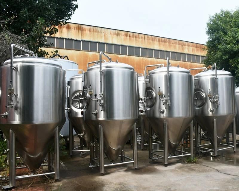 3000L Fermenter SS304 Conical Tank Fermenting Equipment