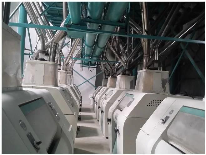 Maize Wheat Corn Flour Mill Milling Maize Grits Making Machine