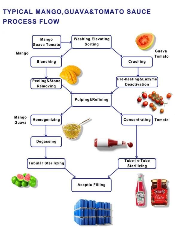 Papaya Processing Machine-Turn Key Solution