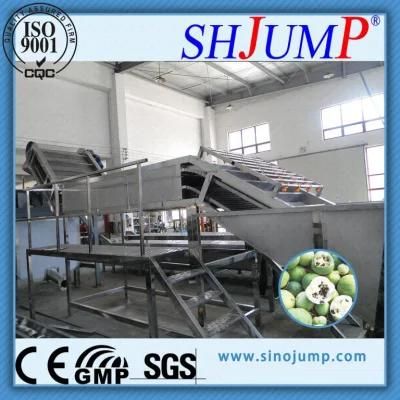 Juice Processing Equipment /Juice Production Machine