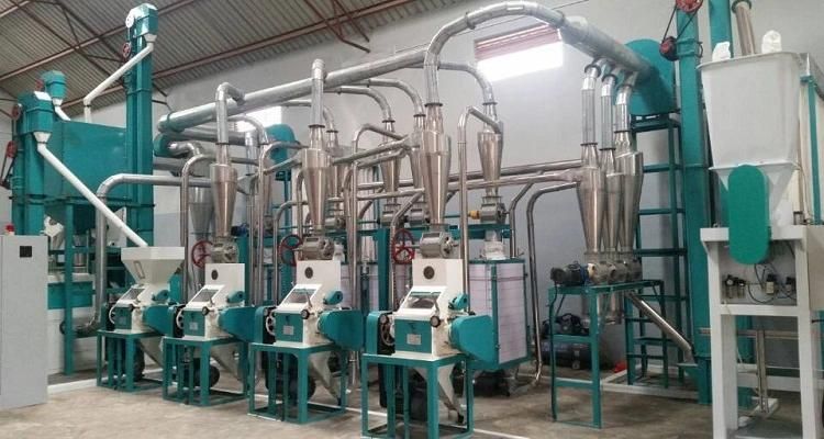 Commercial Maize Milling Mill for Super White Maize Flour Meal in Zambia