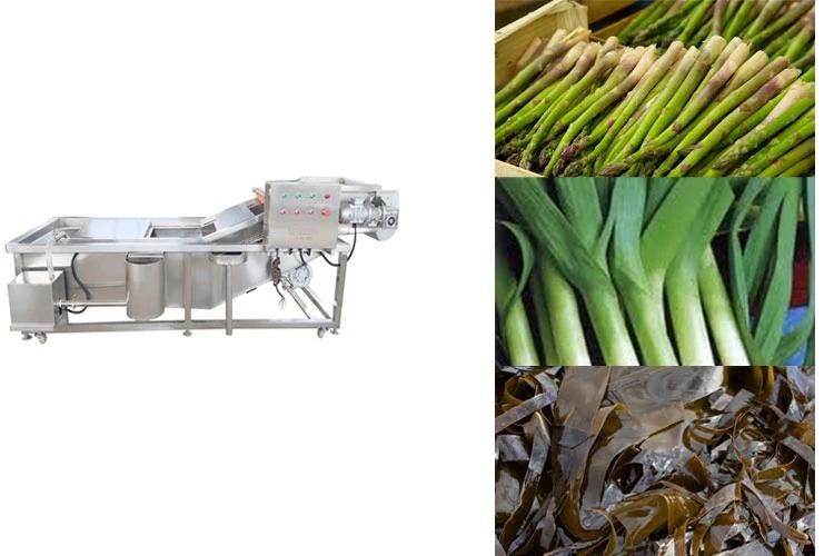 Seaweed Leek Asparagus Bubble Vegetable Washing Machine with Ozone